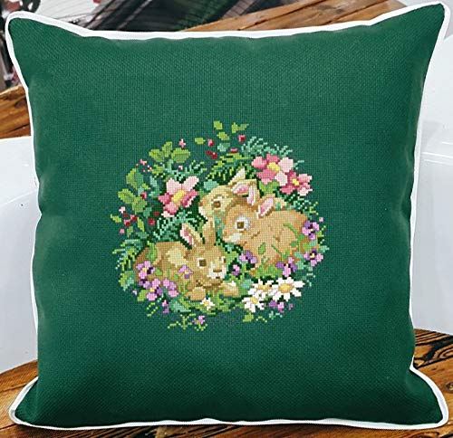 Image of Aida Cloth 14 Count Cross Stitch Fabric,19x28inch (14CT, Green)