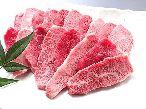 јa   Mtgp Ԑg &  Jrē 500g VR|