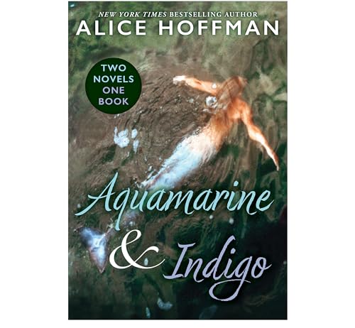 Cover of Aquamarine & Indigo