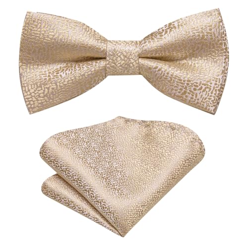 Hi-Tie Boys Beige Bow Ties Pre-Tied Silk Kids Bow Tie Adjustable Boys Bowties with Pocket Square Set for Wedding