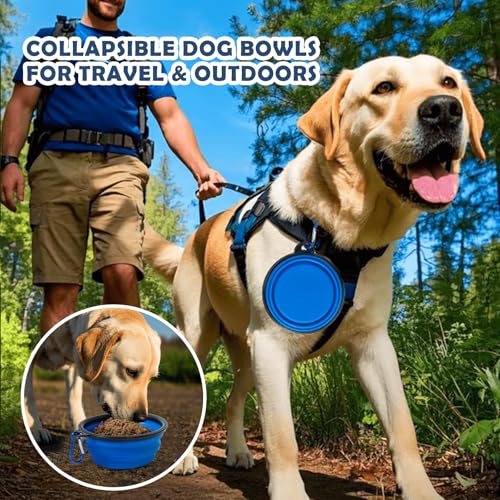 QUIBBLICK 24 Inch Portable Collapsible Dog Crate, Travel Pet Crate with Soft Warm Blanket and Foldable Bowl for Small Dogs and Large Cats Indoor and Outdoor