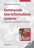 Kommunale Geo-Informationssysteme: Basiswissen, Praxisberichte und Trends