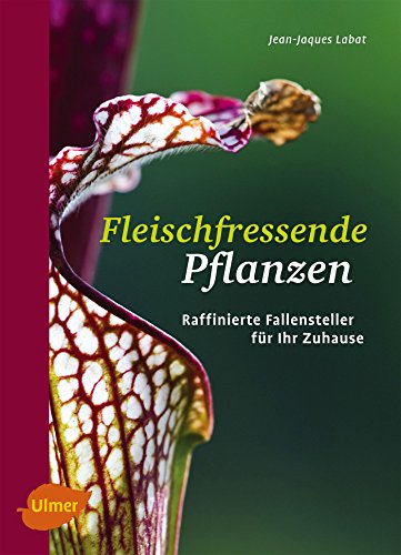 Fleischfressende Pflanzen: Raffinierte Fallensteller für Ihr Zuhause