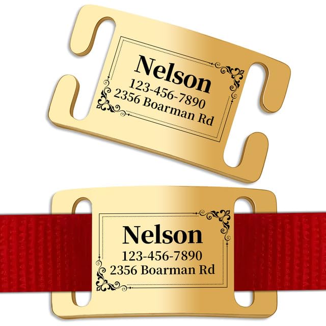 Personalised Dog Tags Engraved for Pets - Custom Name & ID Tag with Silent Slide-On Design for Dogs & Cats | Engrave Pet Identity on Stainless Steel Tag for Collar