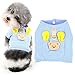 Ranphy Small Dog Vest Harness Stripe Pet Harnesses Puppy Cat No Pull Escape Proof Walking Jacket Cute Bear Pattern Outdoor Easy Control for Chihuahua Yorkshire Terrier