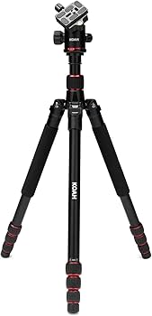 Amazon.com : Sigma 70-200mm f/2.8 DG OS HSM Sport Lens for Nikon F