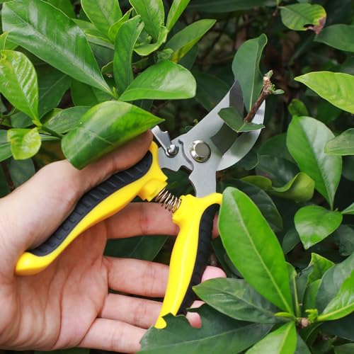 Gartenschere Set, Baumschere Gartenscheren 3 Stück Pflanzenschere Rosenschere Gartenschere Kräuterschere Rebschere Bypass Schere Scharfe aus Edelstahl für Pflanzen