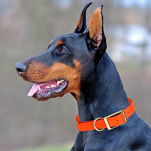 Image of Viper Biothane Heavy Duty Waterproof Dog Collar Strong Coated Nylon Webbing w /Solid Brass Hardware Odor-Proof Easy to Clean High Performance Fits Small Medium or Large Dogs, Hunter Orange