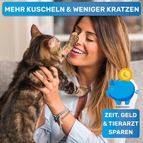 BluePet Mini Krallenschere für Katzen, Hunde, Kaninchen & Welpen I Einfach & Sicher bei engsitzenden Katzenkrallen I Kleiner Krallenschneider & Nagelschere I Nagelschneider + Krallenpflege Tier