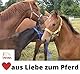 AMKA Bodenarbeitsseil Bodenleine Führseil 3,2 m mit Bull Snap