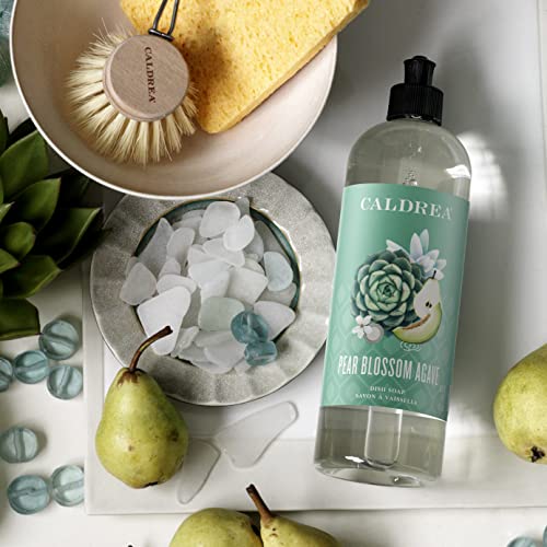 Image of Caldrea Dish Soap, Biodegradable Dishwashing Liquid made with Soap Bark and Aloe Vera, Pear Blossom Agave, 16 oz , 3 Pack