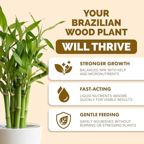 Fertilizante Líquido para Plantas Brazilian Wood 8 oz miniatura 2