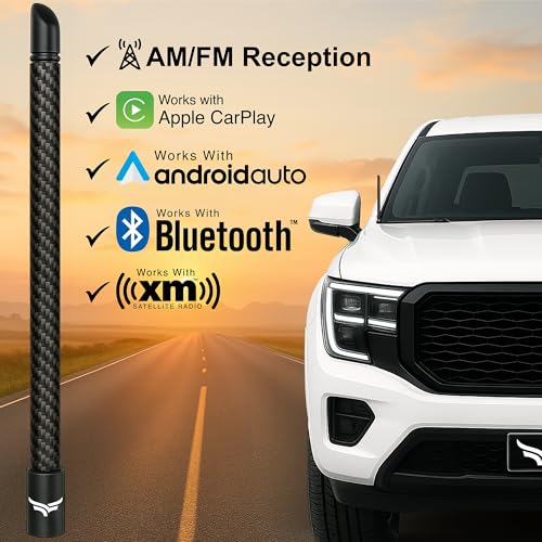 image for EcoAuto 12