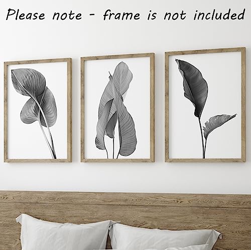 Eviepops Prints Grey Exotic Tropical Leaves Wall Art Set of 3 Unframed Prints, Botanical Plant Leaf Decor - Image 3