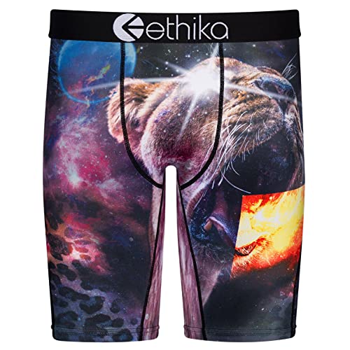 Ethika Mens Boxer Brief | Lost