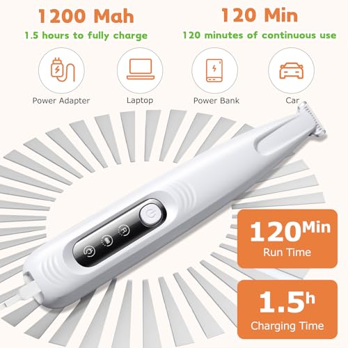 Tondeuse électrique pour pattes de chien rechargeable et micro-précision
