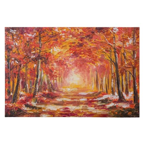 SAMAU  փ}bg  G gt ӂӂ hA}bg DƂ ~ O Ɩp ItBXp ƒp 唻 60*90CM