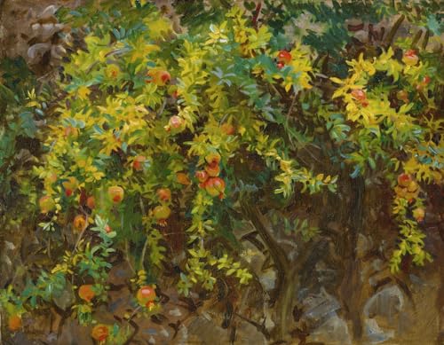 Pomegranates Majorca Poster Print (18 x 24)