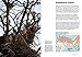 How Birds Live Together: Colonies and Communities in the Avian World