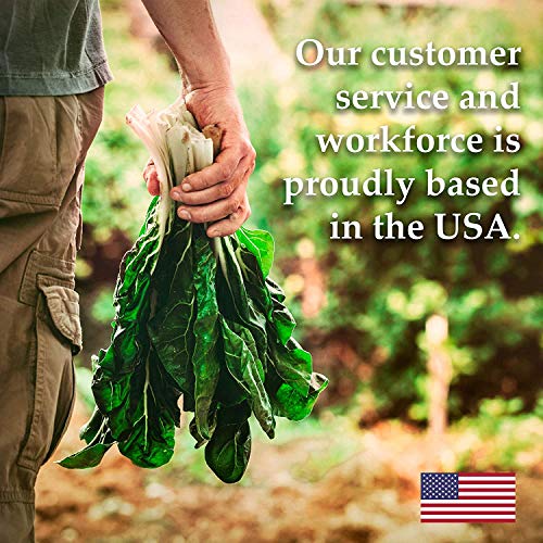 1.5 Lb Organic Non-Gmo Black Oil Sunflower Microgreens Seeds And Sprouting Seeds (Shell On) - Edible Sun Flower Micro Green Seeds, Organic Sprout Seeds, Seeds For Sprouting, And Sprout Mix #TOP6