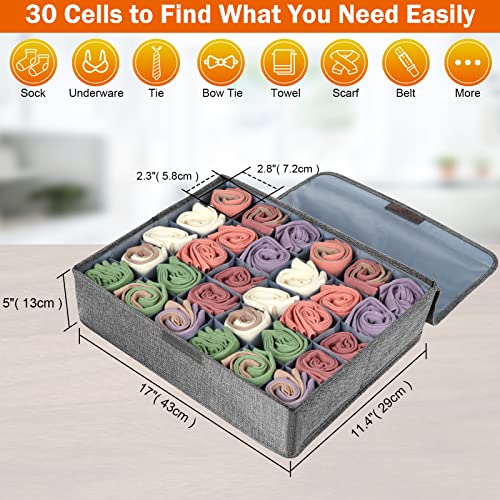 Hyttrolly 30 Cells Underwear Organizer With Lid, Washable Scarf Organizer, Sock Organizer With Cover, Underwear Drawer Organizer, Tie Organizer, Sock Drawer Organizer #TOP4