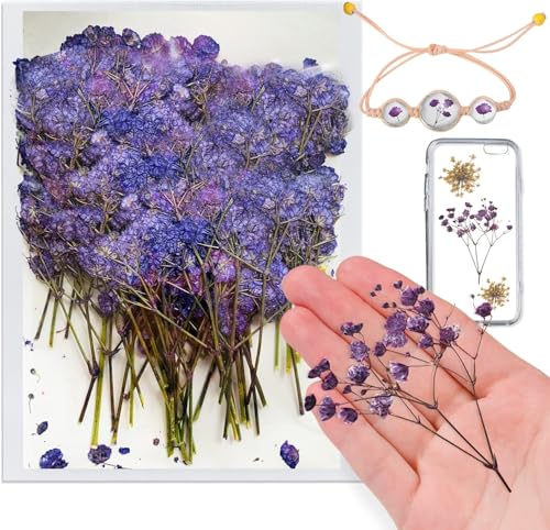 Flores Secas Prensadas de Gypsophila con Tallo 42PCS miniatura 1