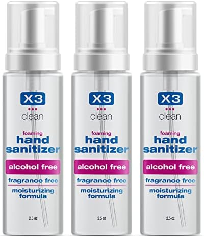 Foaming Hand Sanitizer, Alcohol Free and Fragrance Free, Kills 99.9% Germs, Moisturizing Formula, Travel Size 2.5 oz (3 Pack)