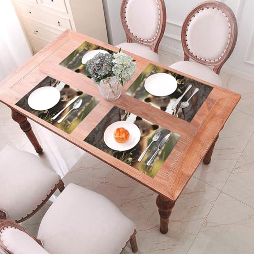 Sets de table lavables pour éviter les taches de chaleur en vinyle antidérapant lot de 6
