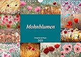 Mohnblumen - Fotografie mit Magie (Wandkalender 2021 DIN A4 quer)