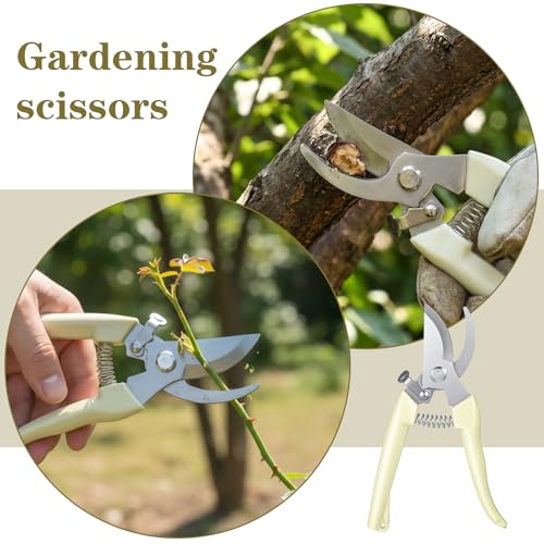 12 Tijeras florales de acero inoxidable para jardinería miniatura 5
