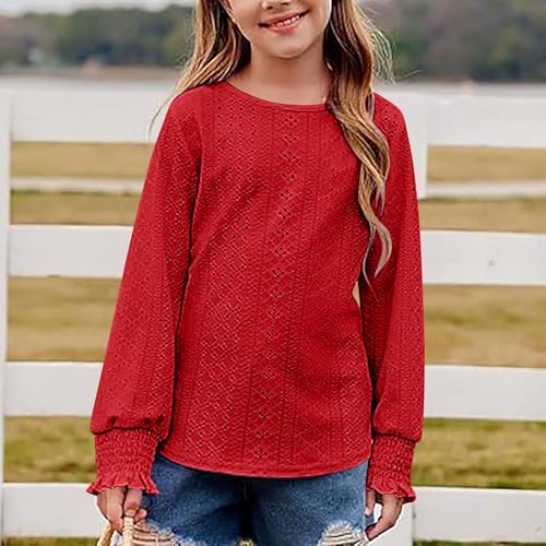 Girls Eyelet Long Sleeve Tops Dressy Casual Crewneck Hollow Out Crochet Lace Embroidered Shirts Blouses Fall Clothes 6-15T2