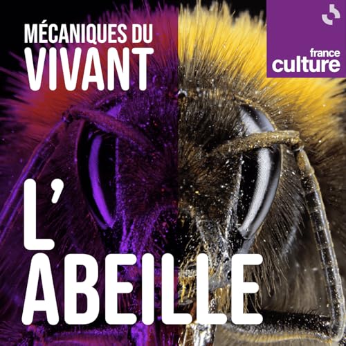 M&eacute;caniques du vivant, saison 4 : Les Abeilles sauvages