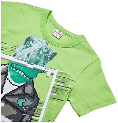 Camiseta, Meninos, Brandili, Verde Verão, 8