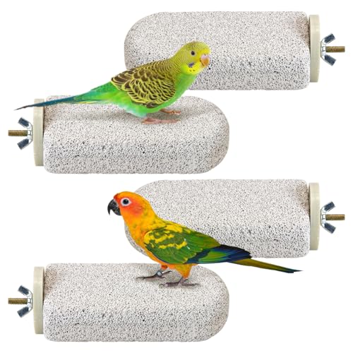 BNOSDM 4 Pcs Large Natural Parrot Beak Grinding Stone Parakeet Chew Toy Calcium Parrot Perch Stand Bird Cage Accessories for Budgies, Cockatiels, Conures, Lovebirds, Canary