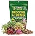 Broccoli and Friends Sprouting Seed Mix, One Pound