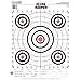 Champion Traps and Targets, Orange Bullseye Targets, 100yd Rifle Sight-in (Per 12)