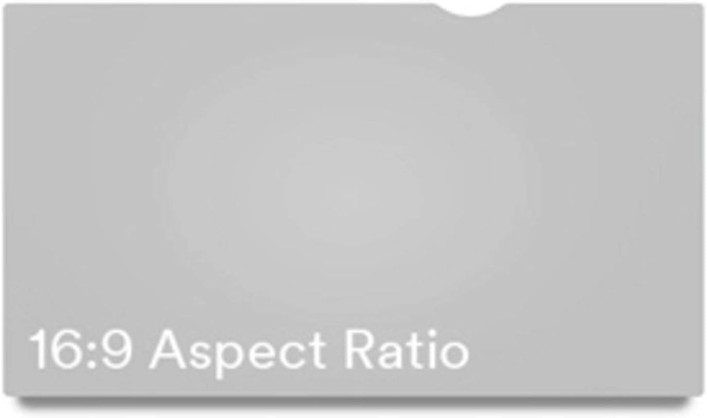 3M Frameless Blackout Privacy Filter for 19.5" Widescreen Flat Panel Monitor, 16:9 Aspect Ratio