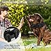 Huntvp taktisch Hundehalsband Verstellbar mit Kontrollgriff, aus Nylon, gepolstert, Metallschnalle, für Mittlere Große Hunde Jagd Training Freizeit Outdoor, Schwarz M