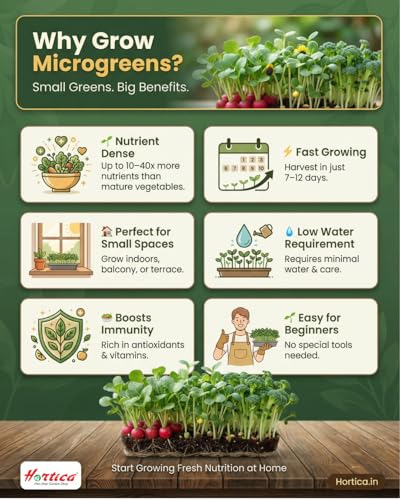 Image of Microgreen Seeds Kit | Value Pack of 5 Varieties | High Germination | Easy to Grow | Indoor Outdoor (Bulk Pack: 5 Variety x 25gm Each)