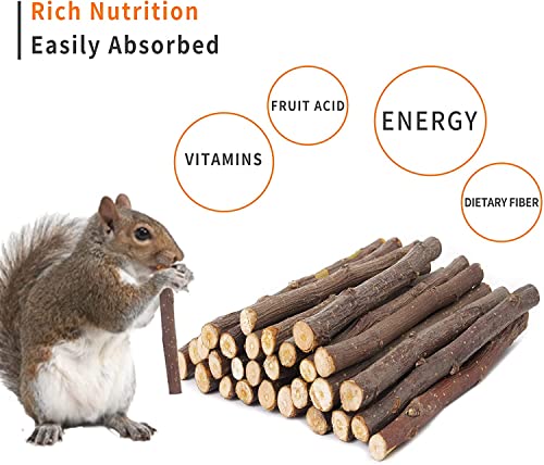 700g Apple Sticks Molar Wood Treats, Rabbit Toys Chinchilla Guinea Pig Bunny Toys Wood Chews Sticks for Teeth Rabbit Food Guinea Pig Hamster Gerbil Chews Small Animals Snacks(200 Pcs) - Image 4