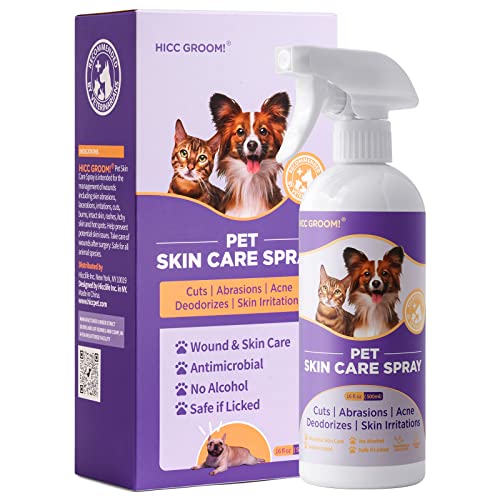 Hot Spots On Cats The 15 best products compared Wild Explained