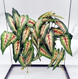 Reptile Plants for Terrarium, Amphibian Habitat Decor Artificial Hanging Plants with Suction Cup, Artificial Plants for Gecko Chameleon Snake Tortoise Tank Accessories. 2-Pack (Alocasia odora -A)