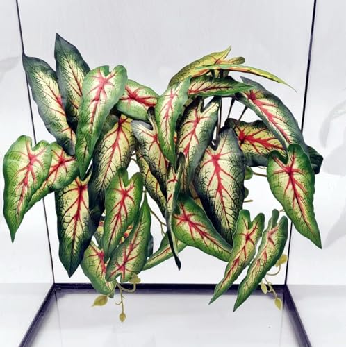 Reptile Plants for Terrarium, Amphibian Habitat Decor Artificial Hanging Plants with Suction Cup, Artificial Plants for Gecko Chameleon Snake Tortoise Tank Accessories. 2-Pack (Alocasia odora -A)