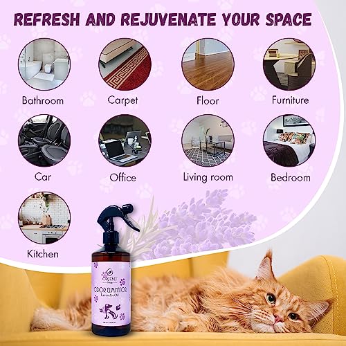 Oriental Therapy Pet Odor Eliminator Spray With Lavender Fragrance - Smelly Odor Remover & Deodorizer - Dog & Cat Stain Cleaner For Carpet, Bathroom, Car, Home & Office - 600Ml #TOP6