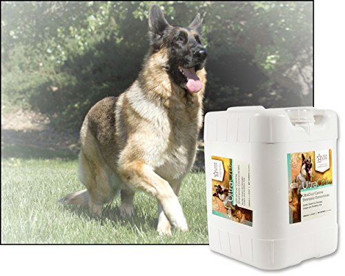 UltraCruz Canine Dog Shampoo Concentrate, 5 Gallons UltraCruz Canine Dog Shampoo Concentrate, 5 Gallons