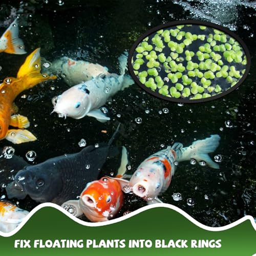 Image of 10pcs Fish Feeding Ring, Oval Square Aquarium Floating Plant Barriers, Mix Sizes EVA Fish Feeder Corral Aquarium Fish Tank Accessories for Betta Goldfish Turtle- Black
