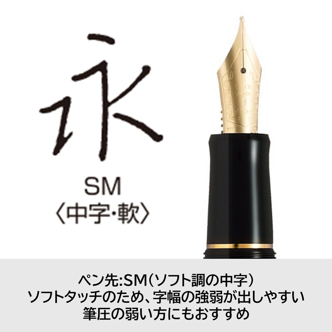 Amazon | PILOT 万年筆 カスタム74 SM ソフト・ミディアム (ソフト調の
