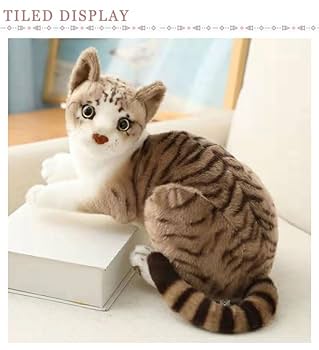 たぬき猫様 親「庭に子供のたぬき居た！」俺「本当に？猫だったら保護して