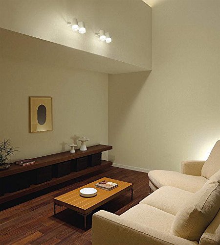 Amazon | 大光電機（DAIKO） スポットライト LED 8W×2灯 電球色
