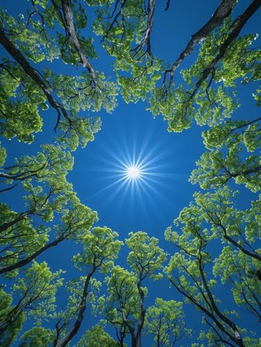 X yCgoCio[ i DIY G ANG̋ ZbgƃuVt G lp S G hG  A[gNtg z[fR[V av[g 80x110cm N-3349